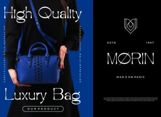 Qarino || Modern Classy Serif Font preview image 2