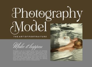 Mefiko || Elegant Stylish Serif Font preview image 2
