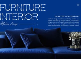 Qarino || Modern Classy Serif Font preview image 3