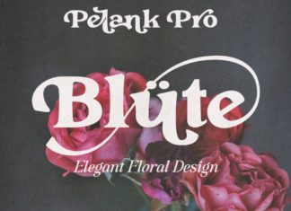 Pelank – Serif Font preview image 2