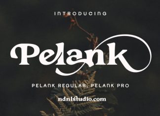 Pelank – Serif Font preview image 1