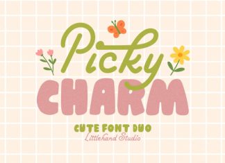 Picky Charm Sans Font preview image 1