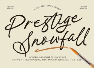 Prestige Snowfall Font preview image 1