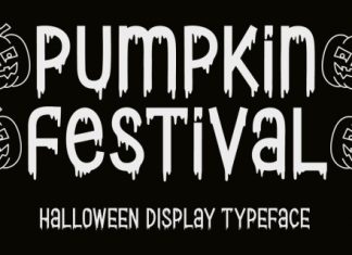 Pumpkin Festival Font preview image 1