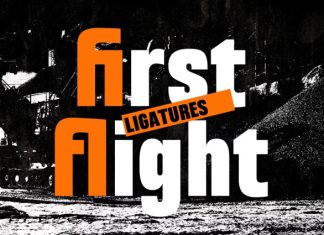 Purgo – Bold New Display Font preview image 3
