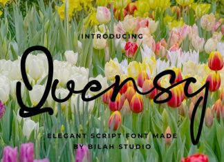 Quensy Elegant Font preview image 1