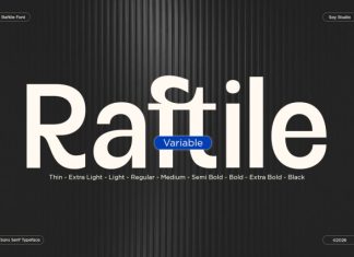 Raftile – Variable Sans Serif Font preview image 1