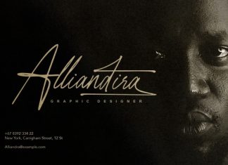 Raleigh Handwriting – Signature Font preview image 3