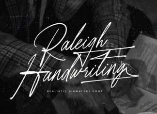 Raleigh Handwriting – Signature Font preview image 1