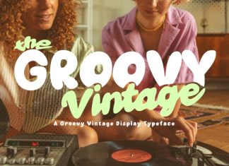 Retro Parade Script Font preview image 3