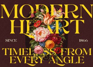 Rospel Serif Font preview image 2