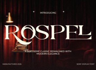 Rospel Serif Font preview image 1