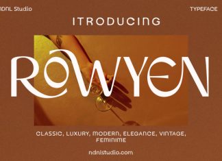 Rowyen – Sans Serif Font preview image 1