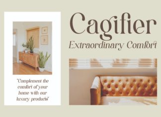 Saitago – Classy Serif Font preview image 2