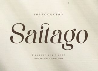 Saitago – Classy Serif Font preview image 1
