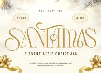 Santamas – Elegant Serif Christmas Font preview image 1