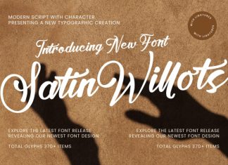 Satin Willots Font preview image 1