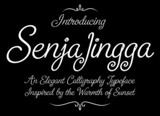 Senja Jingga Romantic Calligraphic Font preview image 1