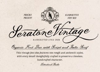 Seratone Vintage Script Font preview image 1