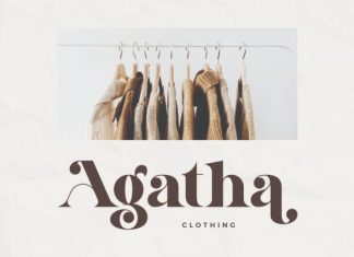 Shogita – Elegant Serif Font preview image 3