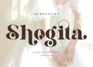 Shogita – Elegant Serif Font preview image 1