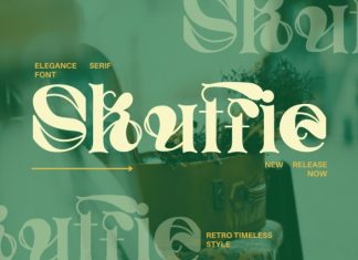 Skuffie – Elegance Serif Font preview image 1