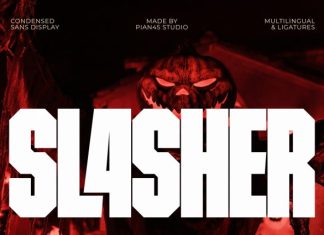 Slasher – Heavy Sans Display Font preview image 1
