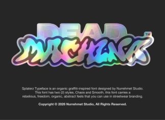 Splaterz NS – Organic Graffiti Font preview image 3