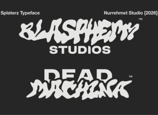 Splaterz NS – Organic Graffiti Font preview image 2