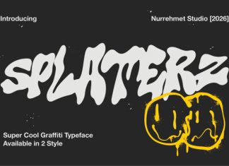 Splaterz NS – Organic Graffiti Font preview image 1