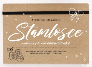 Stamlosee Font preview image 1