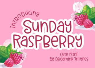 Sunday Raspberry Font preview image 1