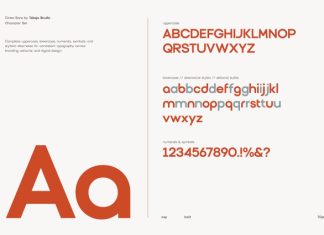 TBJ Cinea Sans Font preview image 3