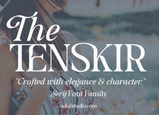 Tenskir – Serif Font preview image 1