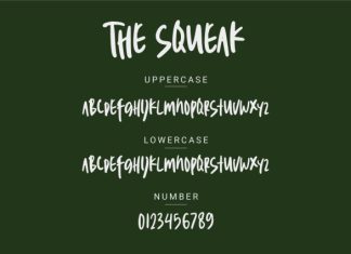 The Squeak Font preview image 3