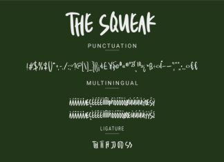 The Squeak Font preview image 2