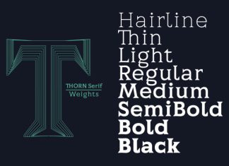 Thorn Serif Font preview image 2