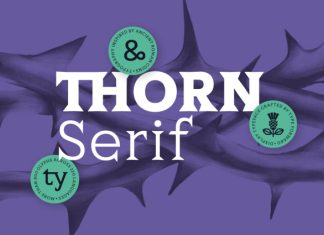 Thorn Serif Font preview image 1