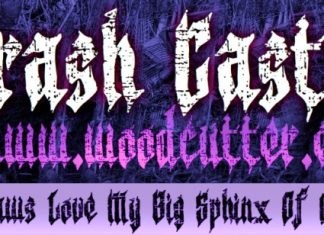 Trash Castle Font preview image 1