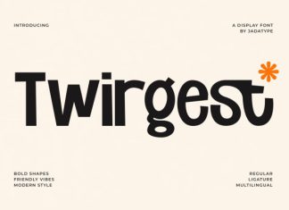 Twirgest – Playful Bold Display Font preview image 1