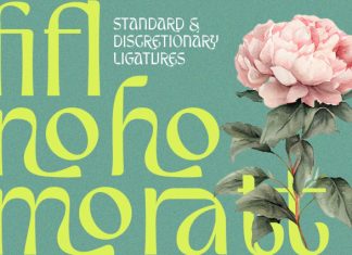 Veganza – Quirky Display Font preview image 3
