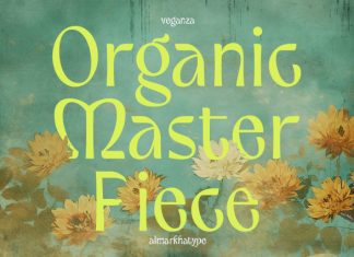 Veganza – Quirky Display Font preview image 2