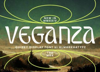 Veganza – Quirky Display Font preview image 1