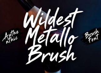 Wildest Metallo Brush Font preview image 1
