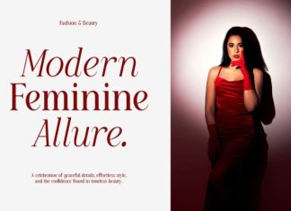 Willow Starlion – Elegant Serif Font preview image 3