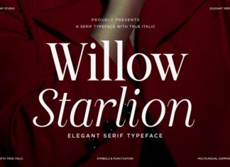 Willow Starlion – Elegant Serif Font preview image 1