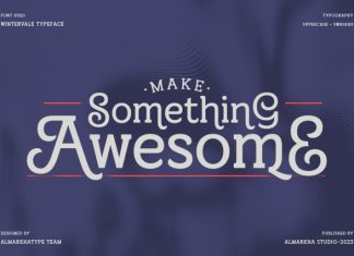 Wintervale – Stylistic Slab Serif Font preview image 2