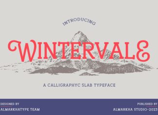 Wintervale – Stylistic Slab Serif Font preview image 1