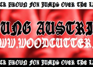 Young Austrian Font preview image 1