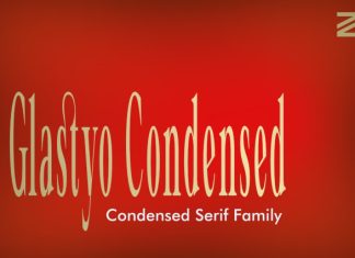 ZIA Glastyo Condensed Font preview image 1